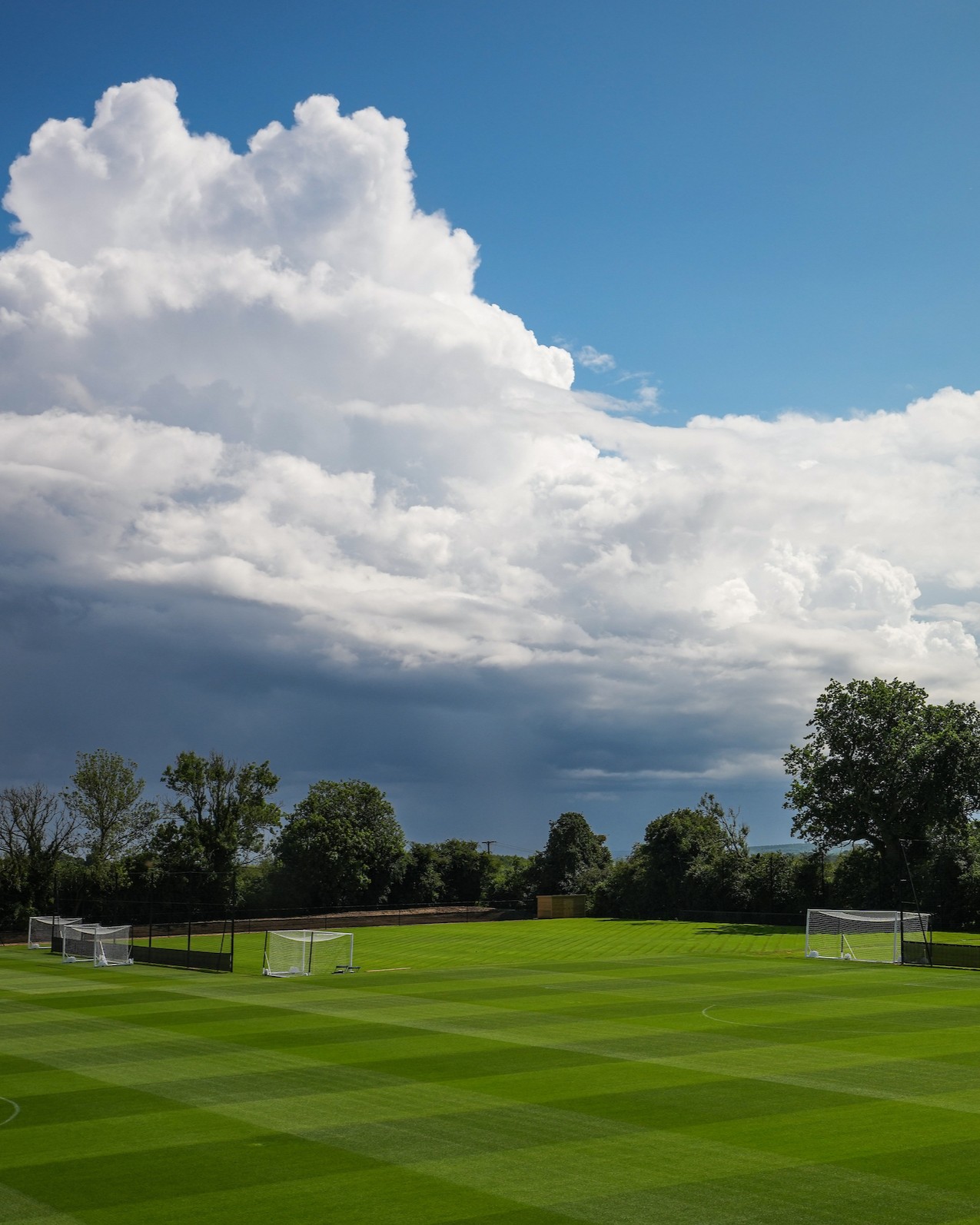 Player Training